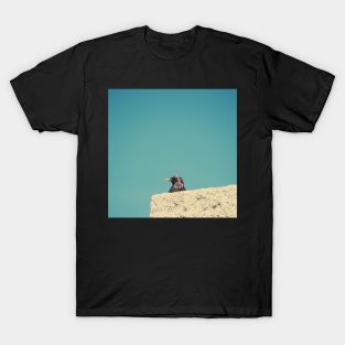 Peekaboo T-Shirt